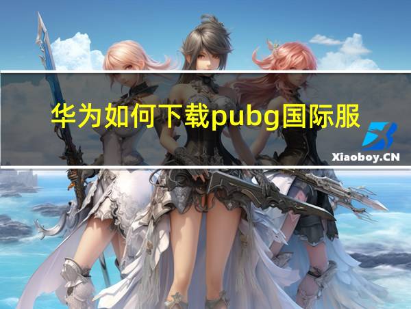 华为如何下载pubg国际服的相关图片