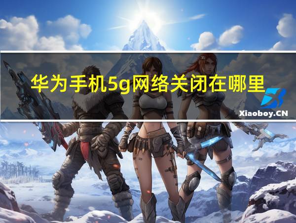 华为手机5g网络关闭在哪里的相关图片