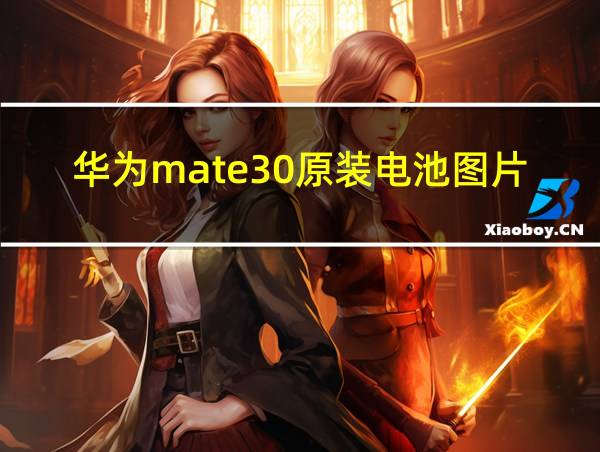 华为mate30原装电池图片的相关图片