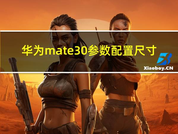 华为mate30参数配置尺寸的相关图片