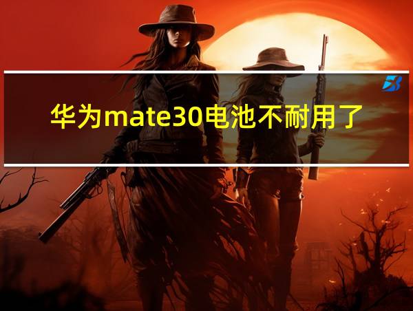 华为mate30电池不耐用了半年的相关图片