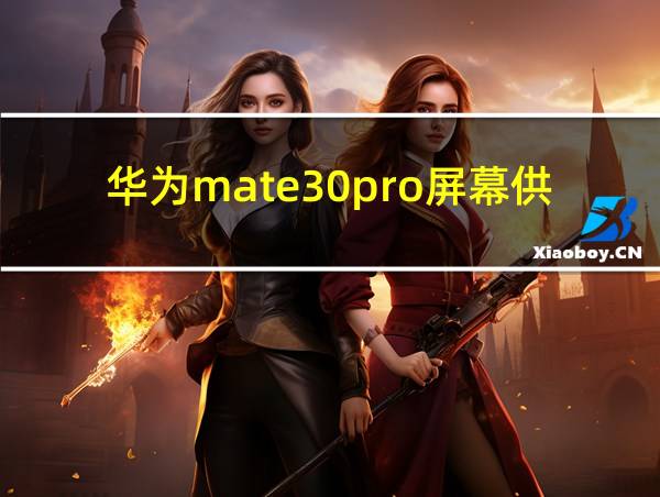 华为mate30pro屏幕供应商的相关图片