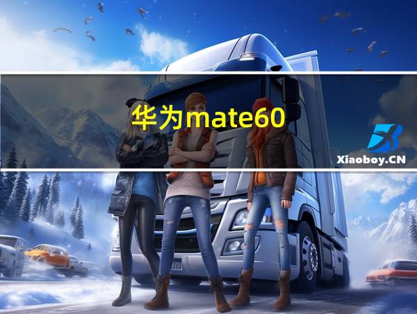 华为mate60的相关图片