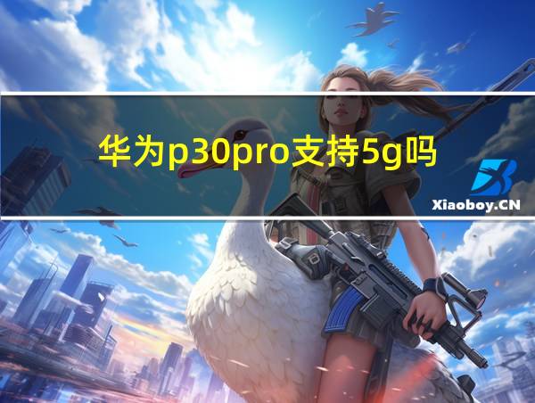 华为p30pro支持5g吗的相关图片