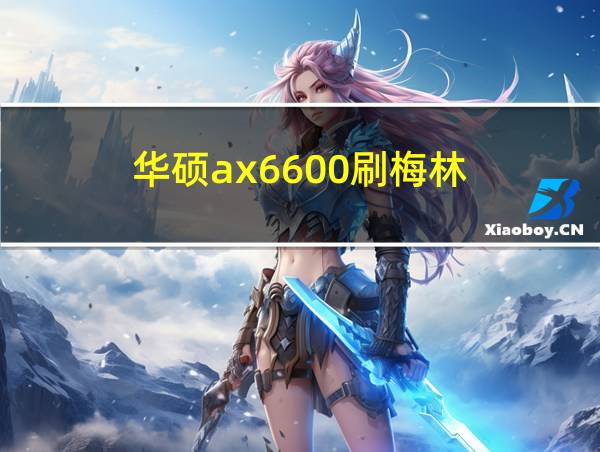 华硕ax6600刷梅林的相关图片