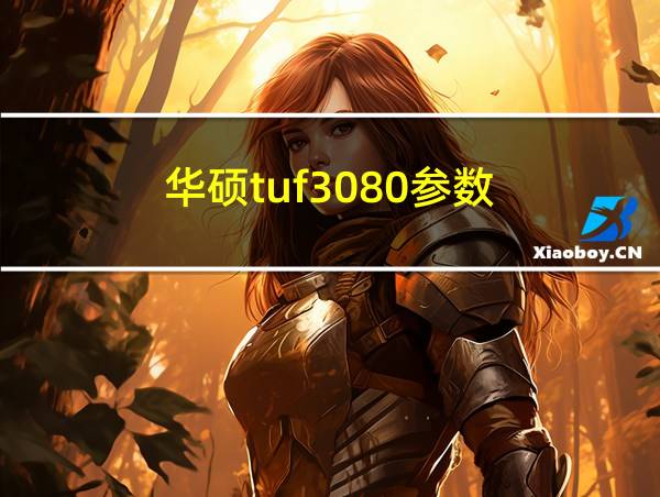 华硕tuf3080参数的相关图片