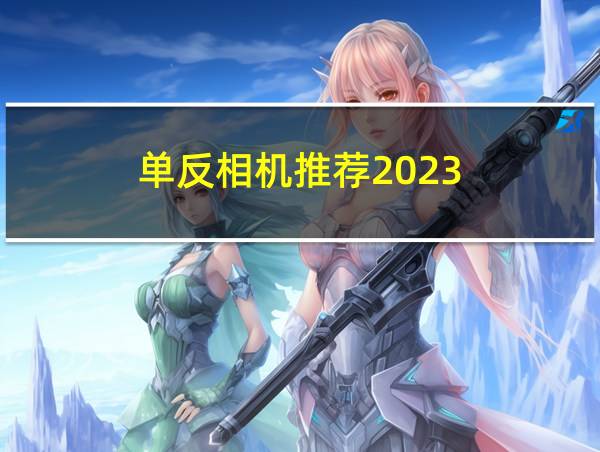 单反相机推荐2023的相关图片