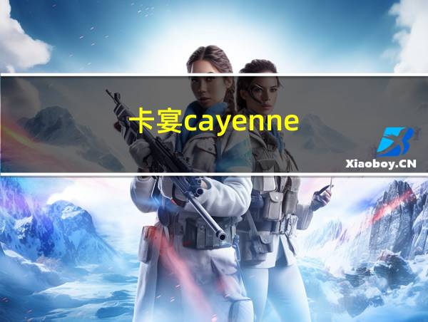 卡宴cayenne的相关图片