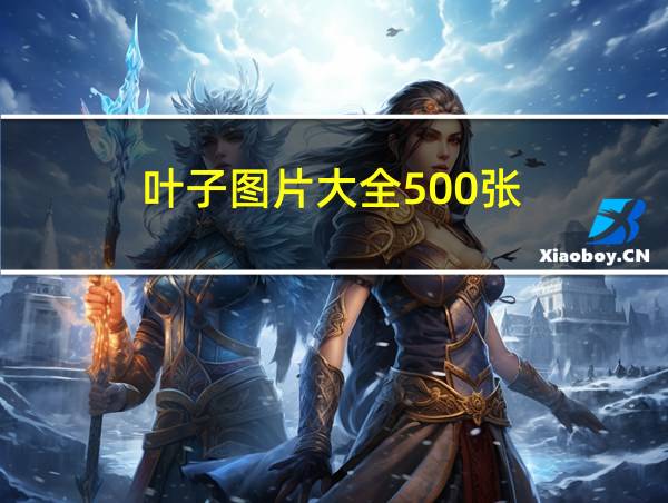 叶子图片大全500张的相关图片