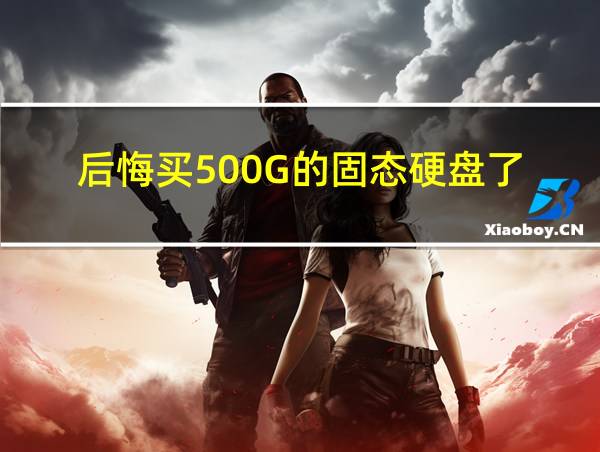 后悔买500G的固态硬盘了的相关图片