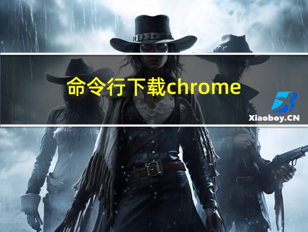 命令行下载chrome的相关图片