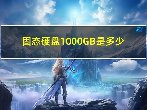 固态硬盘1000GB是多少的相关图片