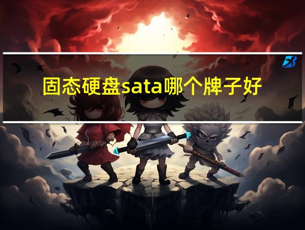 固态硬盘sata哪个牌子好的相关图片