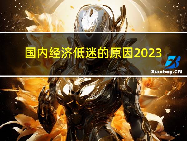 国内经济低迷的原因2023的相关图片