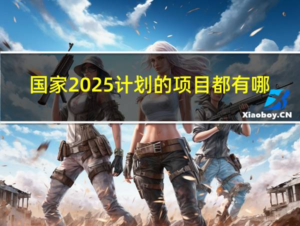 国家2025计划的项目都有哪些的相关图片