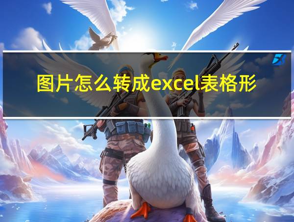 图片怎么转成excel表格形式英文版的相关图片