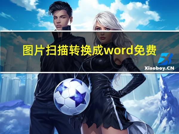 图片扫描转换成word免费的相关图片