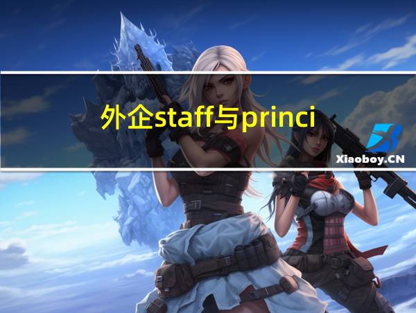 外企staff与principal的相关图片