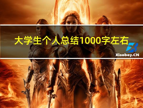 大学生个人总结1000字左右的相关图片