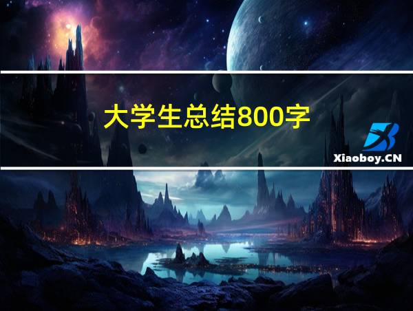 大学生总结800字的相关图片