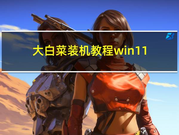 大白菜装机教程win11的相关图片