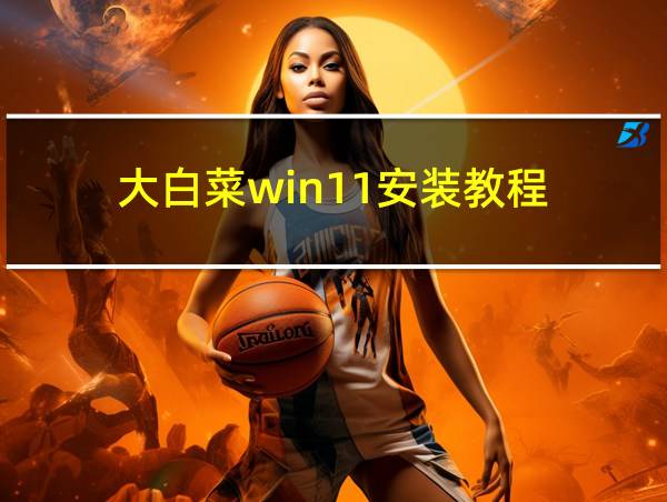 大白菜win11安装教程的相关图片