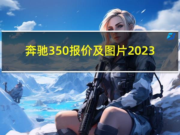 奔驰350报价及图片2023的相关图片