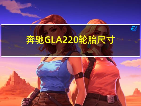 奔驰GLA220轮胎尺寸的相关图片