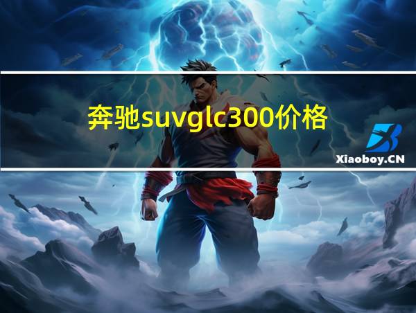 奔驰suvglc300价格的相关图片