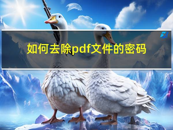 如何去除pdf文件的密码的相关图片