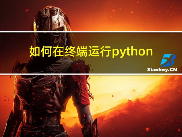 如何在终端运行python的相关图片