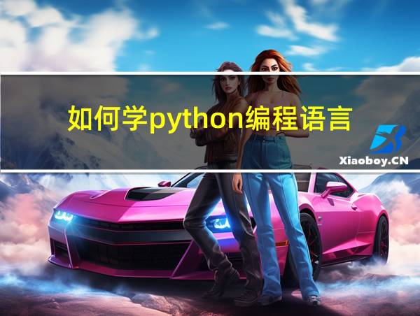 如何学python编程语言的相关图片