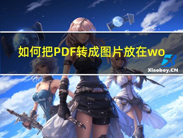 如何把PDF转成图片放在word里的相关图片