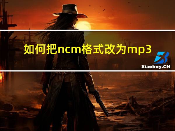 如何把ncm格式改为mp3的相关图片