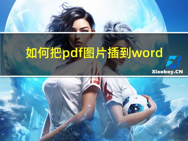 如何把pdf图片插到word文档中的相关图片