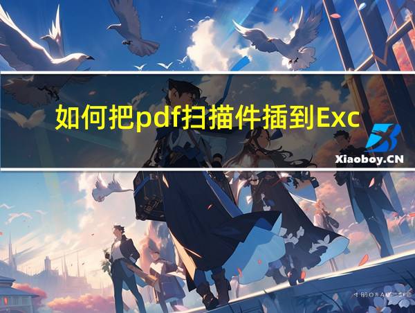 如何把pdf扫描件插到Excel的相关图片