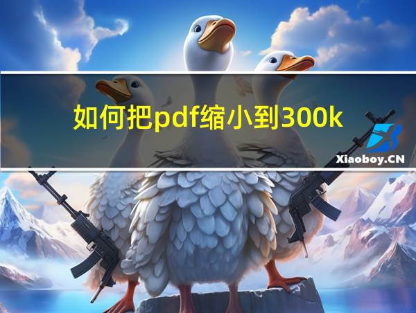 如何把pdf缩小到300k的相关图片