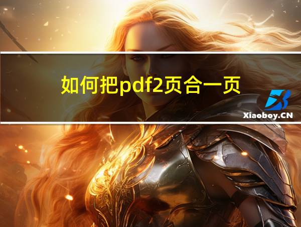 如何把pdf2页合一页的相关图片