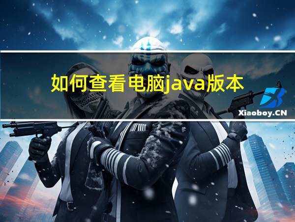 如何查看电脑java版本的相关图片