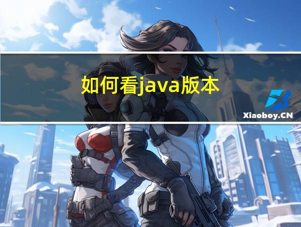 如何看java版本的相关图片