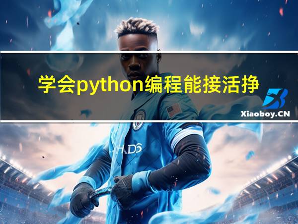 学会python编程能接活挣钱么的相关图片