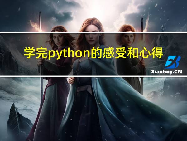 学完python的感受和心得2000的相关图片