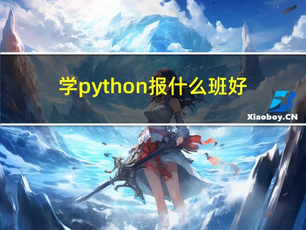 学python报什么班好的相关图片