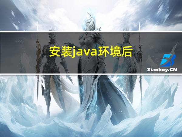 安装java环境后的相关图片