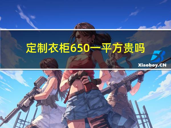 定制衣柜650一平方贵吗的相关图片