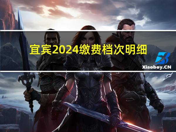 宜宾2024缴费档次明细的相关图片