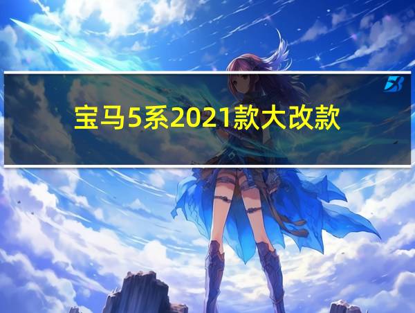 宝马5系2021款大改款的相关图片