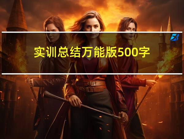 实训总结万能版500字的相关图片