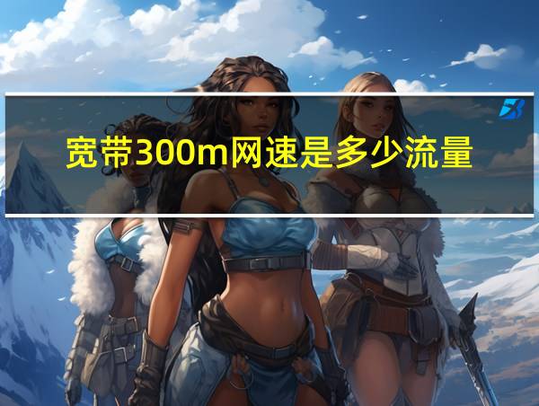 宽带300m网速是多少流量的相关图片