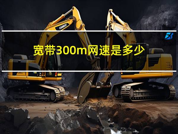 宽带300m网速是多少的相关图片